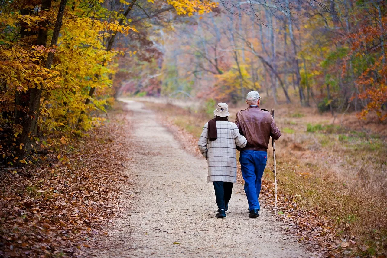 Signature Companionship Service